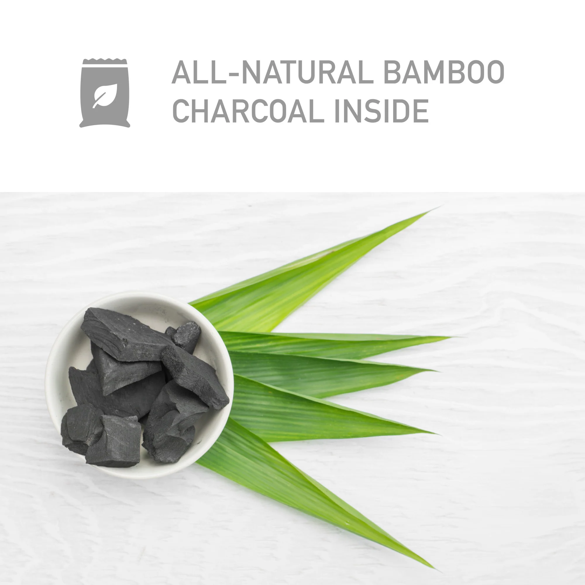 PureGuardian CB100 Bamboo Charcoal 100g Air Purifying Bag - Image 4