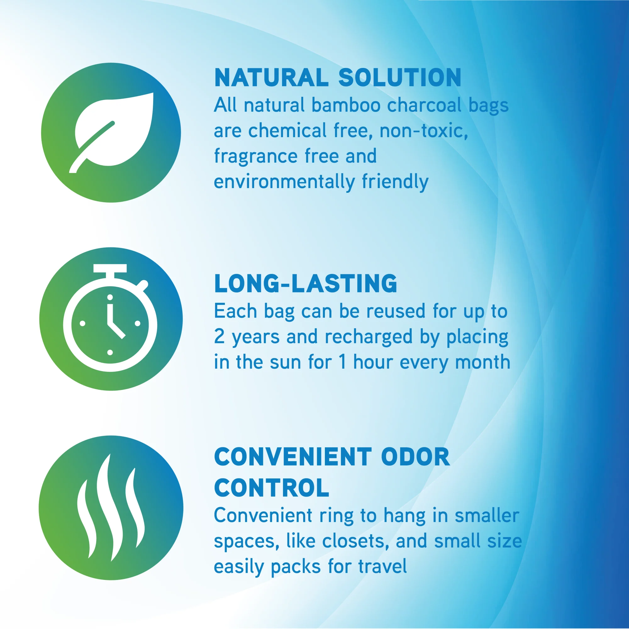 PureGuardian CB100 Bamboo Charcoal 100g Air Purifying Bag - Image 6