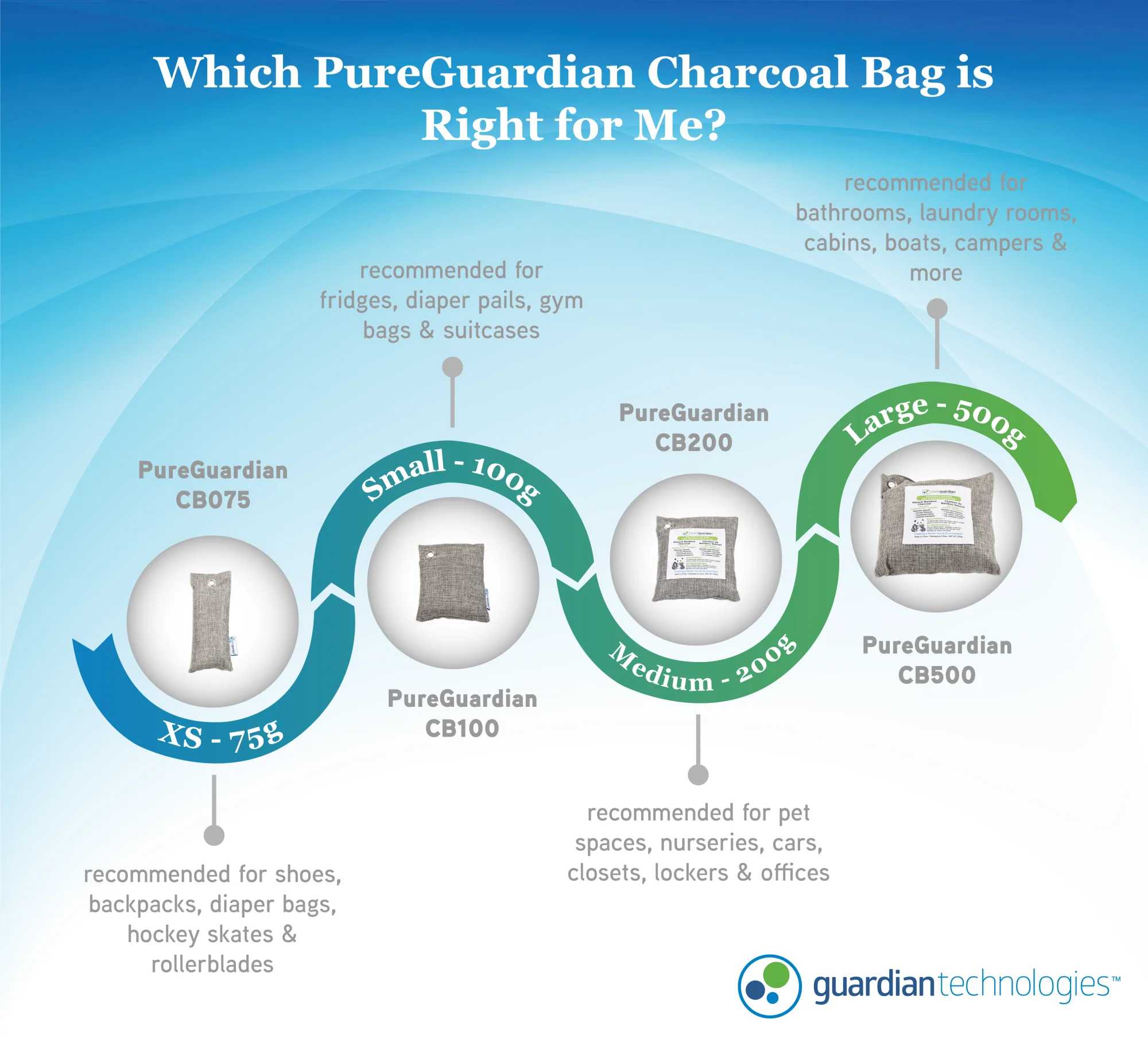 PureGuardian CB100 Bamboo Charcoal 100g Air Purifying Bag - Image 7