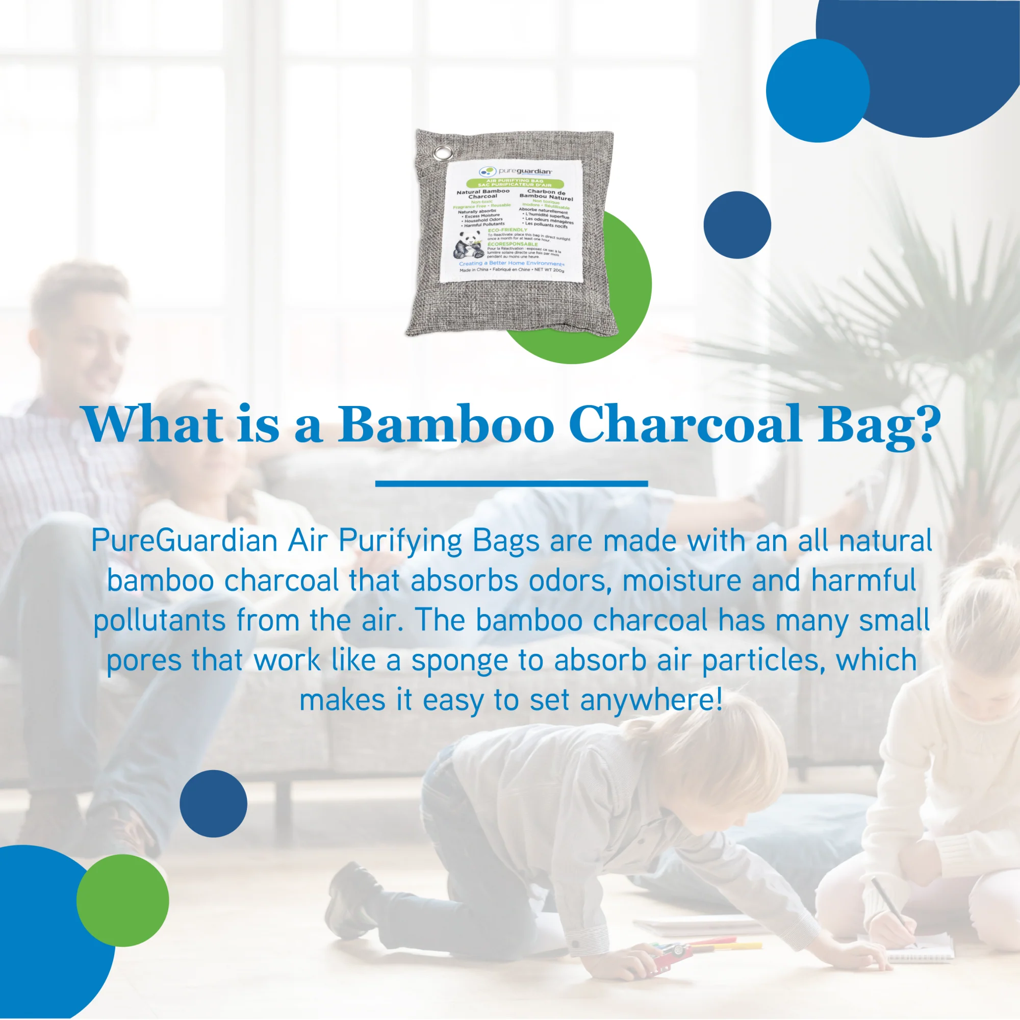PureGuardian CB200 Bamboo Charcoal 200g Air Purifying Bag - Image 6