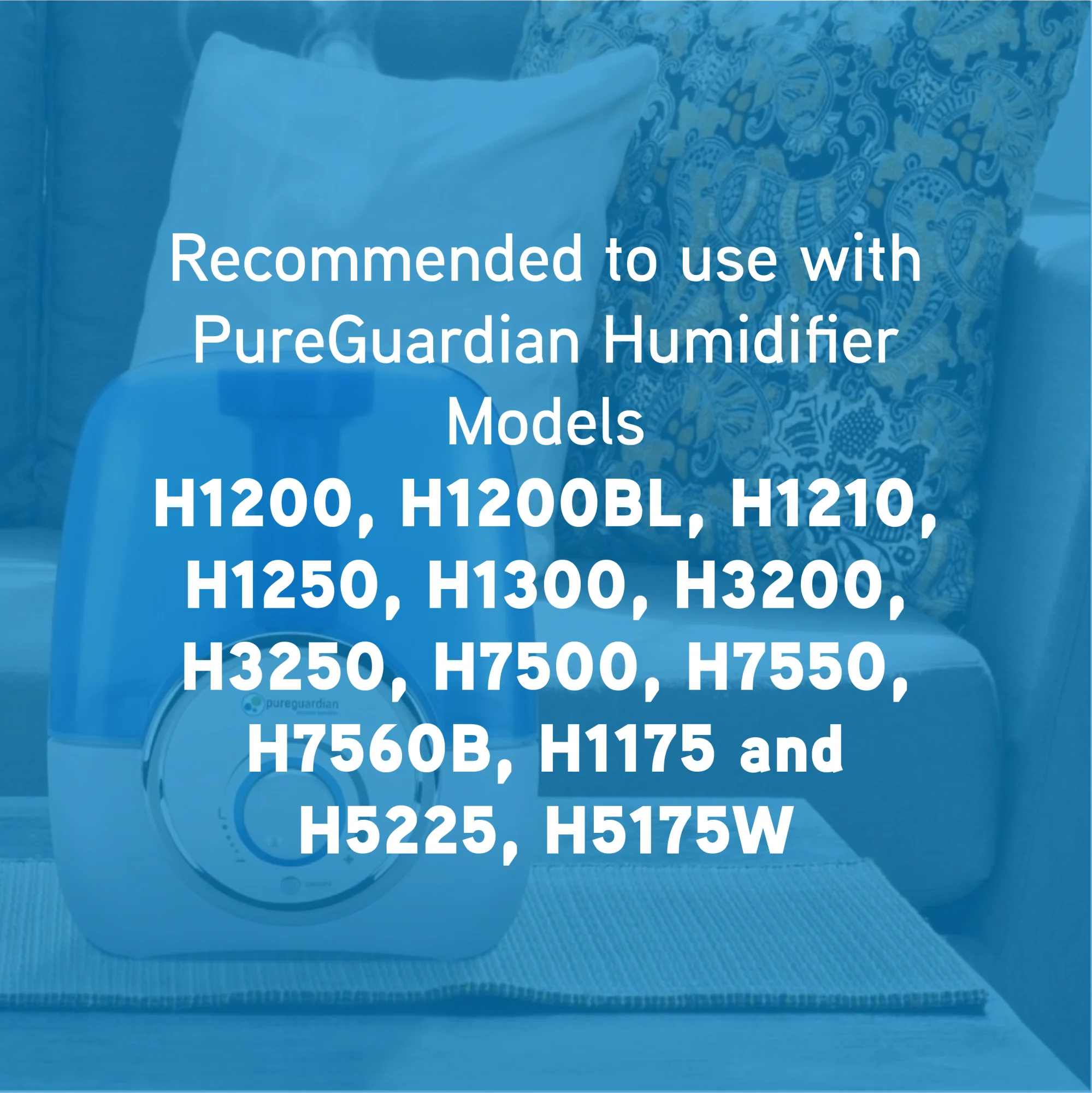 PureGuardian FLTDC20 #2 Humidifier Demineralization Filter - Image 4